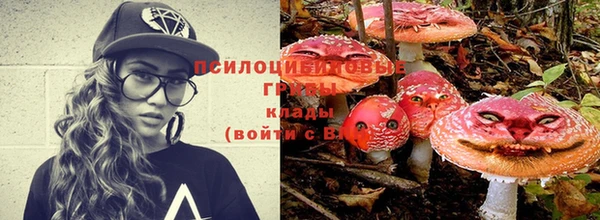 МДПВ Алзамай