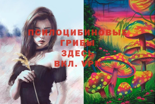 МДПВ Алзамай