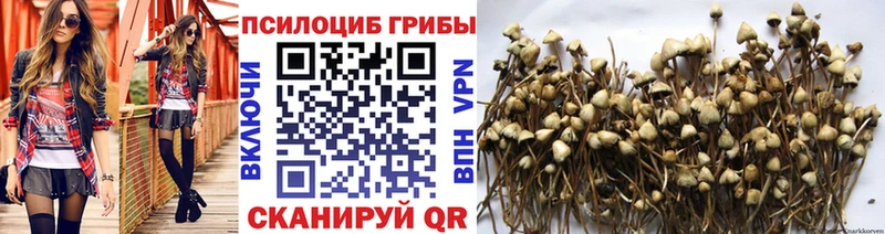 Галлюциногенные грибы прущие грибы  купить наркотик  Николаевск-на-Амуре 